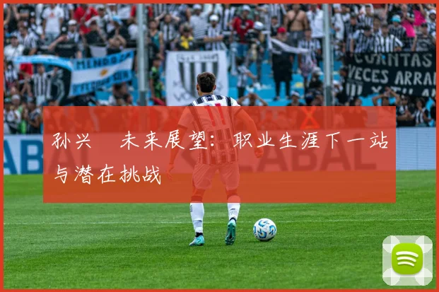 孙兴慜未来展望：职业生涯下一站与潜在挑战