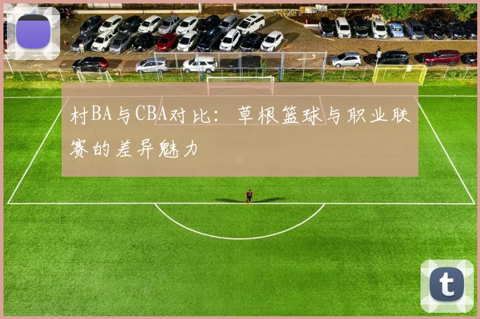 村BA与CBA对比：草根篮球与职业联赛的差异魅力