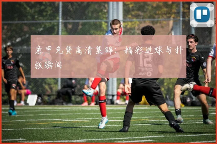 意甲免费高清集锦:精彩进球与扑救瞬间
